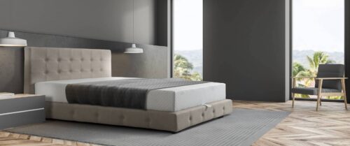 robna kuca stanojcic mmp Cezar