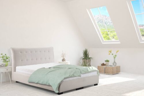 robna kuca stanojcic mmp Dream