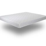 robna kuca stanojcic mmp Dusek ELASTIK