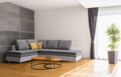 robna kuca stanojcic mmp Ibica 1