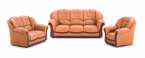 robna kuca stanojcic mmp Nikolas 1 1